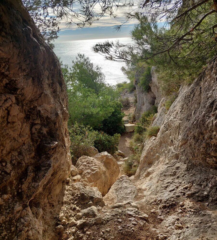 Le sentier rocailleux qui descend vers la mer entre les pins